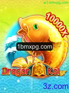 Explorando o Universo de DragonKoi: Regras e Recursos do Jogo